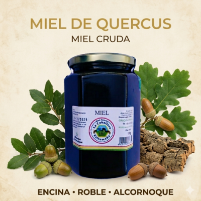 MIEL CABALLERA QUERCUS