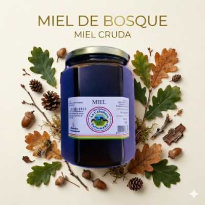 MIEL SERRANA DE BOSQUE